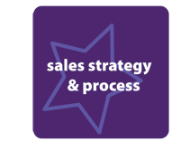 Sales Strategy
